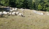 Tocht Stappen La Beaume - banne col de cabre - Photo 2