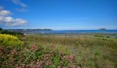 Trail Walking Louannec - Louannec - GR34 PR - 11.5km 185m 3h00 (40mn) - 2023 09 14 - Photo 7