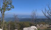 Tocht Stappen Vascões - Vascões - Corno de Bico - Photo 4