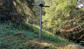Tour Wandern Albiez-le-Jeune - croix d Albiez - crête de Lacha - Photo 7