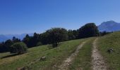 Trail Walking Tréminis - Boucle et sommet de l'Aup - Photo 4