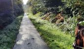 Excursión Paseo ecuestre Sivry-Rance - promenade de la verrerie  - Photo 2