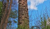 Tour Zu Fuß Frammersbach - Ortswanderweg Partenstein 9 - Photo 10