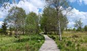 Trail Walking Waimes - baraque michel - botrange via fagne de polleur, retour via fagne wallonne  - Photo 18