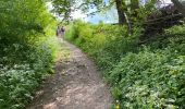 Trail Walking Assesse - Sorinne la Longue 21 km - Photo 1