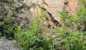 Trail Walking Jalhay -  Boucle de Charneux 17 Km  - Photo 4