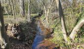 Trail On foot Rotenburg - Nordpfad 'Rotenburger Wasserreich' - Photo 8