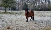 Tour Wandern Valorbiquet - Aux alentours de St Cyr du Ronceray  - Photo 14