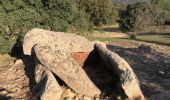 Tour Wandern la Jonquera - 20230112 Site mégalithique- château Requesens  - Photo 14