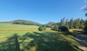 Randonnée Marche Chorges - Bois du Ruban (Clot Clavary - crête du Ruban) - Photo 12