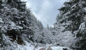Trail Walking Cornimont - Col du Brabant - croix Louis par Mansuy et Boulaite - Photo 13