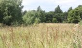 Tour Zu Fuß Roßleben-Wiehe - Großer Rundweg Hohe Schrecke - Photo 3