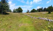 Trail Walking Lajoux - Le crêt de la vigoureuse (le vrai) - Photo 14