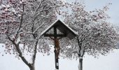 Trail On foot Toblach - Dobbiaco - IT-7 - Photo 1