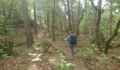 Tocht Stappen Fontainebleau - carrefour de Vienne  - Photo 5