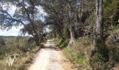 Tour Wandern Céret - Céret pont du Diable . Saint Feriol (boucle sens aiguilles de la montre) - Photo 12