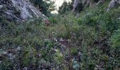Trail Walking Saint-Pierre-d'Entremont - col cucheron grande Som_col de Bevinant_Col de fret - Photo 3