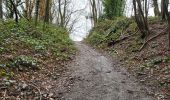 Trail Walking Floreffe - Floreffe 080224 - Photo 9