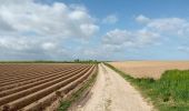 Tocht Stappen Geldenaken - Gobiery - Brocui - Photo 3