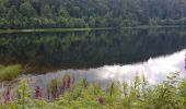 Excursión Senderismo La Bresse - BREITSOUZE - DE LA SOURCE DE LA MOSELOTTE AU LAC DE LA LANDE - Photo 7