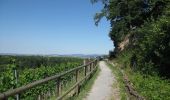 Tour Zu Fuß Ludwigsburg - DE-SAV Rotes Kreuz, Lemberg-Poppenweiler - Photo 4