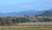 Tocht Stappen Vidauban - Vidauban - Château d'Astros - Chapelle St Lambert - Photo 5