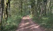 Trail Walking Noroy-le-Bourg - La Croix mercier  - Photo 1