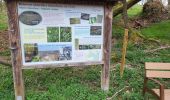 Trail Walking Ciney - Chapois 150425 - Photo 17