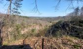 Excursión Senderismo Limbourg - bois de la louveterie - Photo 14