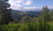 Tour Wandern Nozières - Autour de Nozières - Photo 5