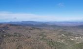 Trail Walking Mazaugues - Plateau d'Agnis, au dessus de Mazaugues - Photo 12