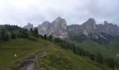Trail On foot Borca di Cadore - IT-467 - Photo 9