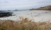Trail Walking Porspoder - presqu'île saint Laurent  - Photo 3