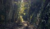 Trail Walking Lioux - Combe de Lioux Falaise de la Madeleine  - Photo 17