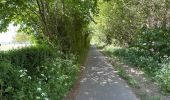 Trail Walking Kapelle - Wemeldinge Goes boucle 16,9 km - Photo 10