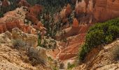 Excursión Senderismo Unknown - 2024 Bryce Canyon Queen's Trail - Photo 3