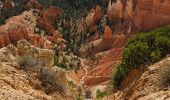 Percorso Marcia Unknown - 2024 Bryce Canyon Queen's Trail - Photo 3