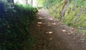Trail Walking Plougras - Autour de Plougras, abord de Guerlesquin - Photo 6