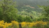 Excursión Senderismo Cornimont - Autour de la ferme - Photo 8