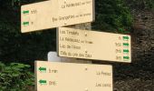 Tour Wandern Arâches-la-Frasse - Carroz les Grangettes pra rôti - Photo 5