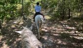 Trail Horseback riding Simiane-la-Rotonde - Provence 2025 J4 - Photo 14