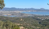 Trail Walking Roquebrune-sur-Argens - Gaillarde-Baronne - Photo 5