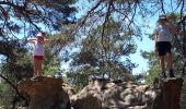 Trail Walking Fontainebleau - gorges de Franchard  - Photo 1