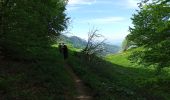 Tour Wandern Omblèze - Le saut de la Truite - Photo 2