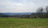 Tocht Stappen Bouillon - Cornimont 100324 - Photo 7