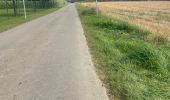 Percorso Bicicletta elettrica Ouffet - Ouffet 55 Km - Photo 3