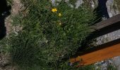 Trail Walking Roubion - PIED DU POMMIER - Photo 2