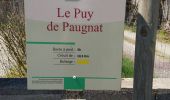 Percorso Marcia Charbonnières-les-Varennes - Le Puy de Paugnat  - Photo 4