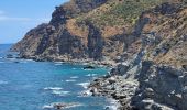 Percorso Marcia Banyuls-sur-Mer - Banyuls_Peyrefite_bis_T - Photo 1