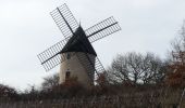 Randonnée A pied Cheilly-lès-Maranges -  V 2019 10&12/02 Cheilly les Maranges - Photo 1